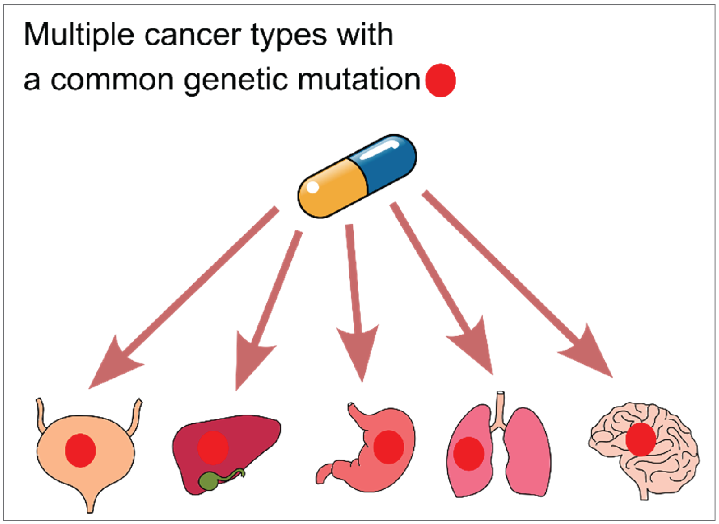 An image of a pill, representing a new medication, with arrows connecting it to several images of human organs: a uterus, a liver, a kidney, lungs, and a brain. Each organ has a red dot on it, symbolizing a common genetic mutation.