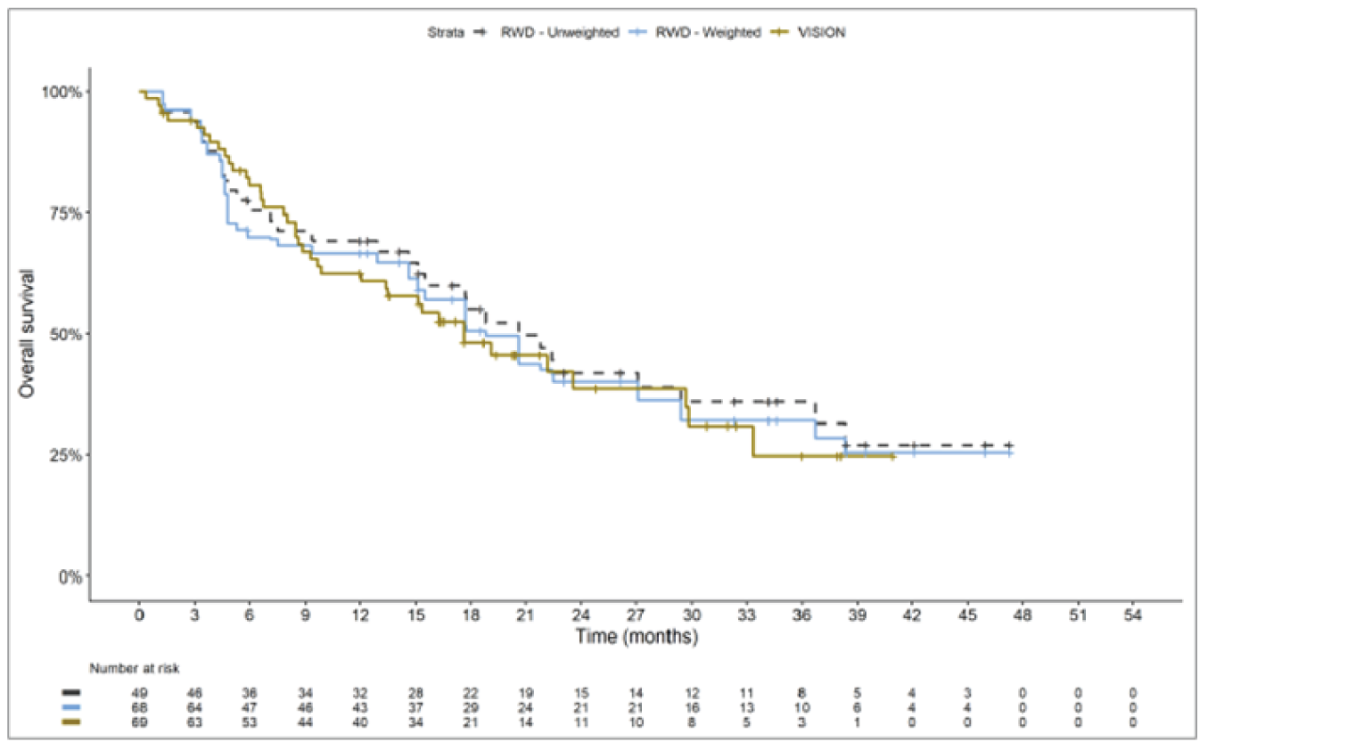 Kaplan-Meier curve with x-axis from 0 to 54 months. The curves separate slightly at month 4 (VISION on top, RWD weighted on bottom), cross at month 9, converge at month 23, then separate again at month 30. The VISION curve plateaus at month 33; the RWD curves plateau at month 39. The VISION and RWD weighted curves converge at month 38.