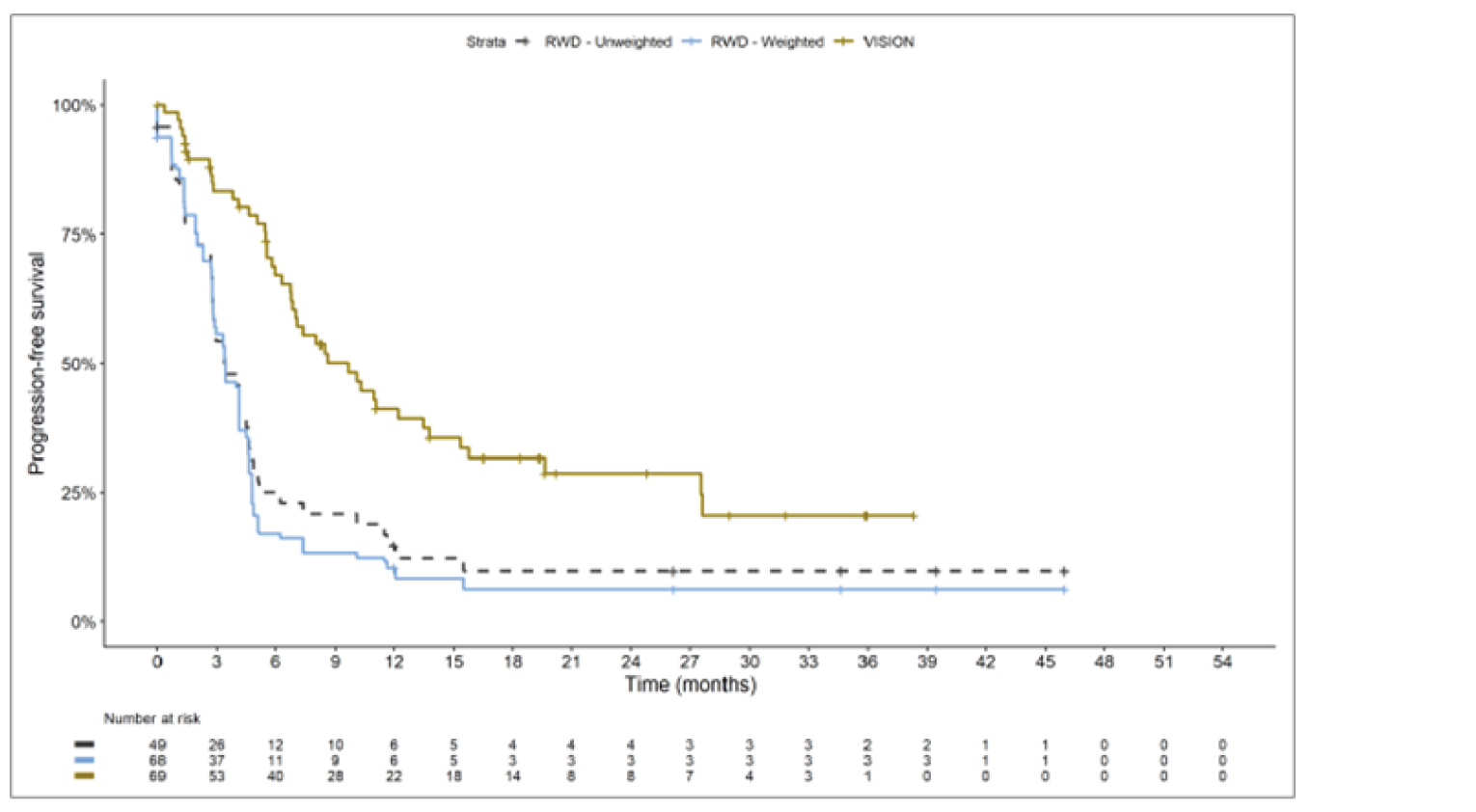 Kaplan-Meier curve with x-axis from 0 to 54 months. The RWD curves overlap from month 0 to 5, then separate; the VISION curve immediately separates to above the RWD curves. The VISION curve plateaus at month 28; the RWD curves plateau at month 16.