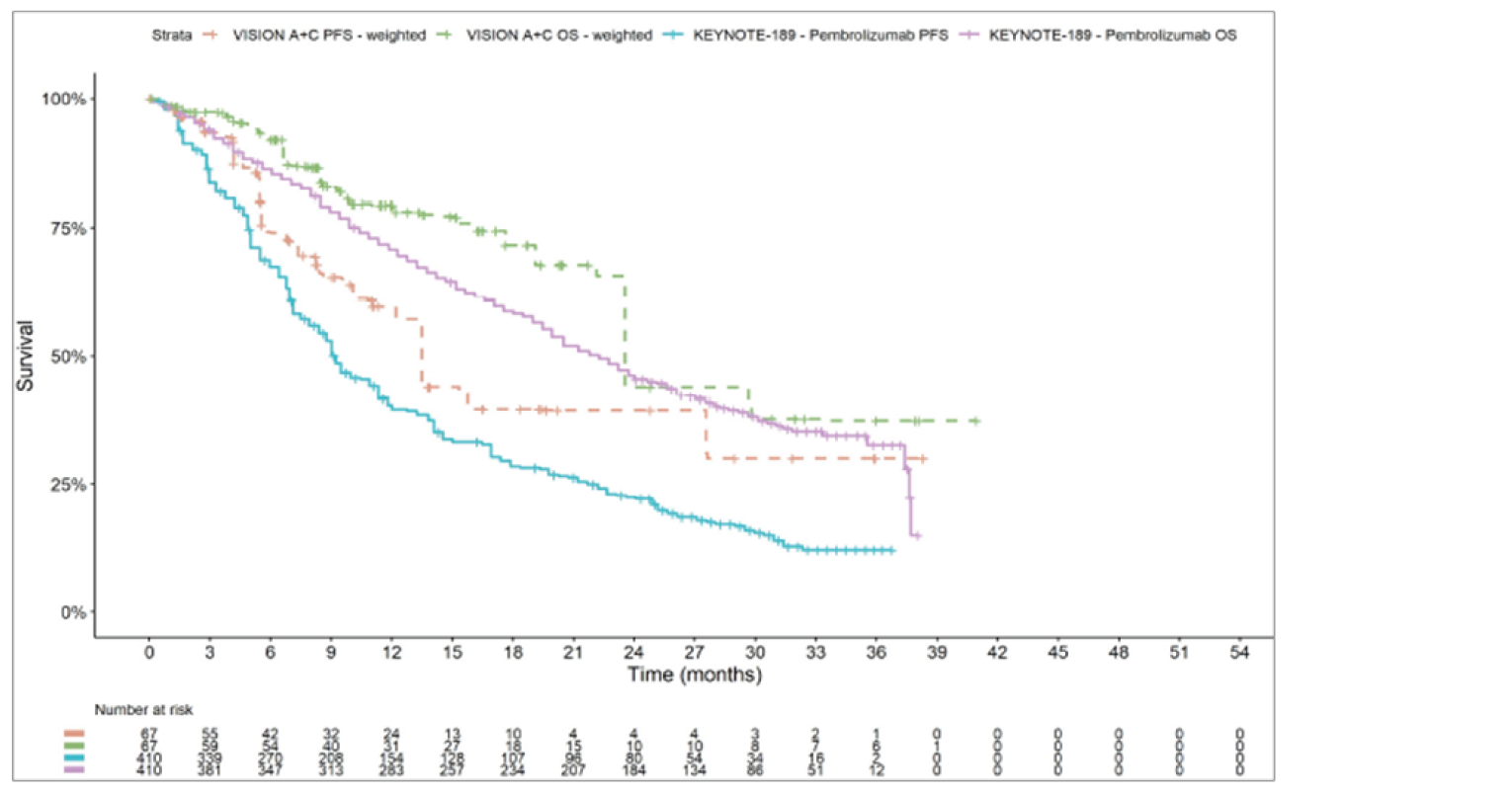 Kaplan-Meier curves with x-axis from 0 to 54 months. For PFS, the curves separate at approximately 1.5 months with the VISION curve above the KEYNOTE-189 curve. The PFS curves do not cross. For OS, the curves separate at approximately 1.5 months with the VISION curve above the KEYNOTE-189 curve. The OS curves cross at months 24, 26, and 30.