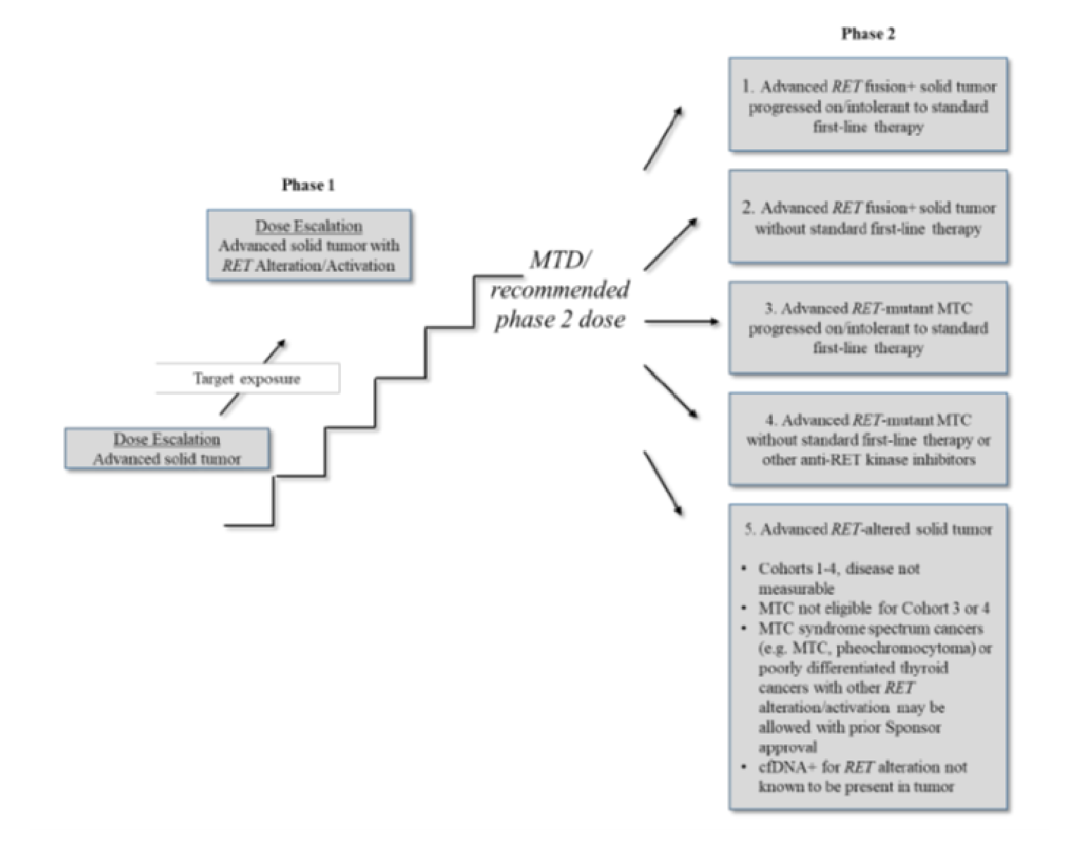 Figure 2 presents the study design of the LIBRETTO-001 trial. First, a few patients with advanced solid tumours with rearranged during transfection (RET) alteration/activation underwent a dose escalation phase upon exposures to different doses until the maximum tolerable dose/ recommended dose for phase 2 was achieved. At phase 2, patients were separated into 5 cohorts passed on the characteristics of their tumour. Cohort 1: RET fusion-positive solid tumour progressed on or intolerant to ≥&nbsp;1 prior standard first-line therapy. Cohort 2: RET fusion-positive solid tumour without prior standard first-line therapy. Cohort 3: RET-mutant MTC progressed on or intolerant to ≥&nbsp;1 prior standard first line cabozantinib and/or vandetanib. Cohort 4: RET-mutant MTC without prior standard first line cabozantinib or vandetanib or other kinase inhibitors(s) with anti-RET activity. Cohort 5 included: Cohorts 1 through 4 without measurable disease; MTC not meeting the requirements for Cohorts 3 or 4; MTC syndrome spectrum cancers (e.g., MTC, pheochromocytoma), or poorly; differentiated thyroid cancers with other RET alteration/activation could be allowed with prior Sponsor approval; cfDNA positive for a RET gene alteration not known to be present in a tumour sample.