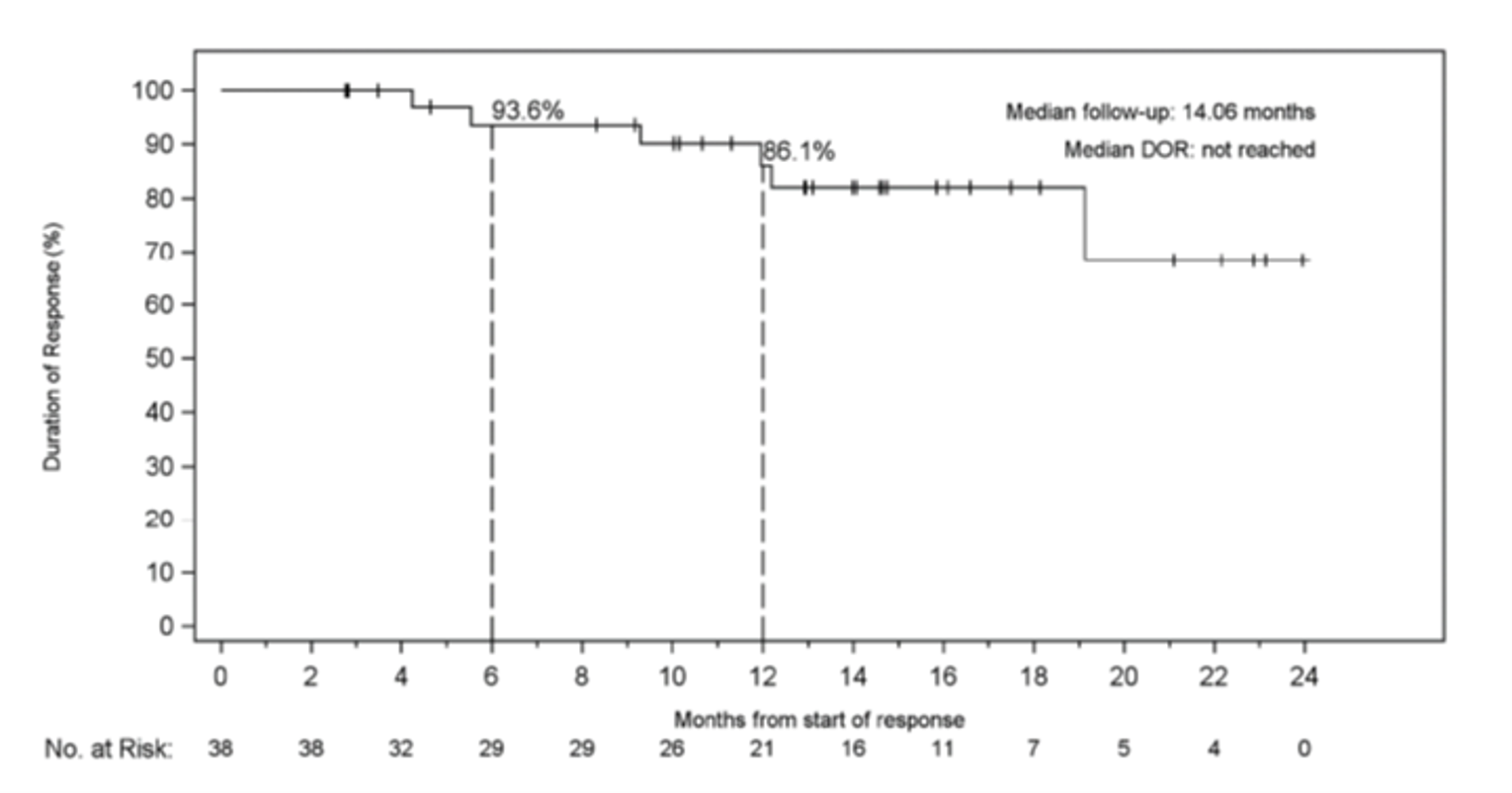 The figure depicts the Kaplan-Meier plot for duration of response, starting at the top with 100%, decreasing to 93.5% at 6 months, then at 86.1% at 12 months. The duration of response continues to descend (close to 70%) until 24 months, not reaching the 50% mark.