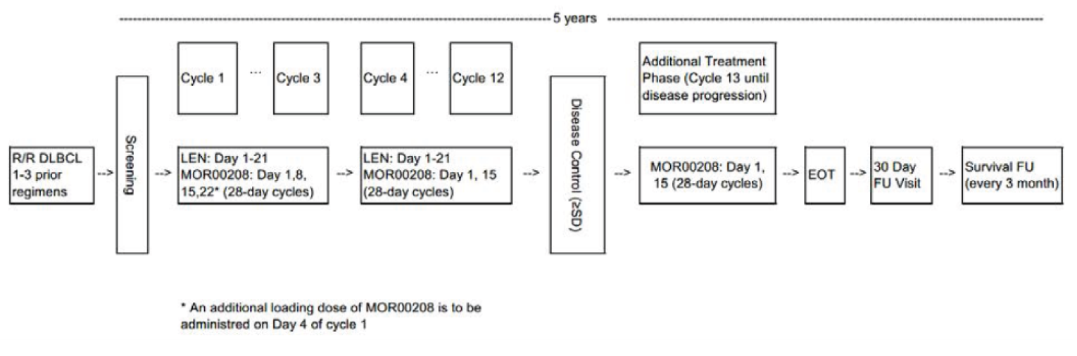 After screening, patients enrolled in L-MIND received up to 12 cycles of tafasitamab plus lenalidomide combination therapy. If disease control was achieved (defined as stable disease or better), patients received tafasitamab monotherapy from cycle 13 until disease progression. Afterward, there was an EOT visit, a 30-day follow-up visit, and survival follow-up every 3 months. The maximum study duration was 5 years per patient.
