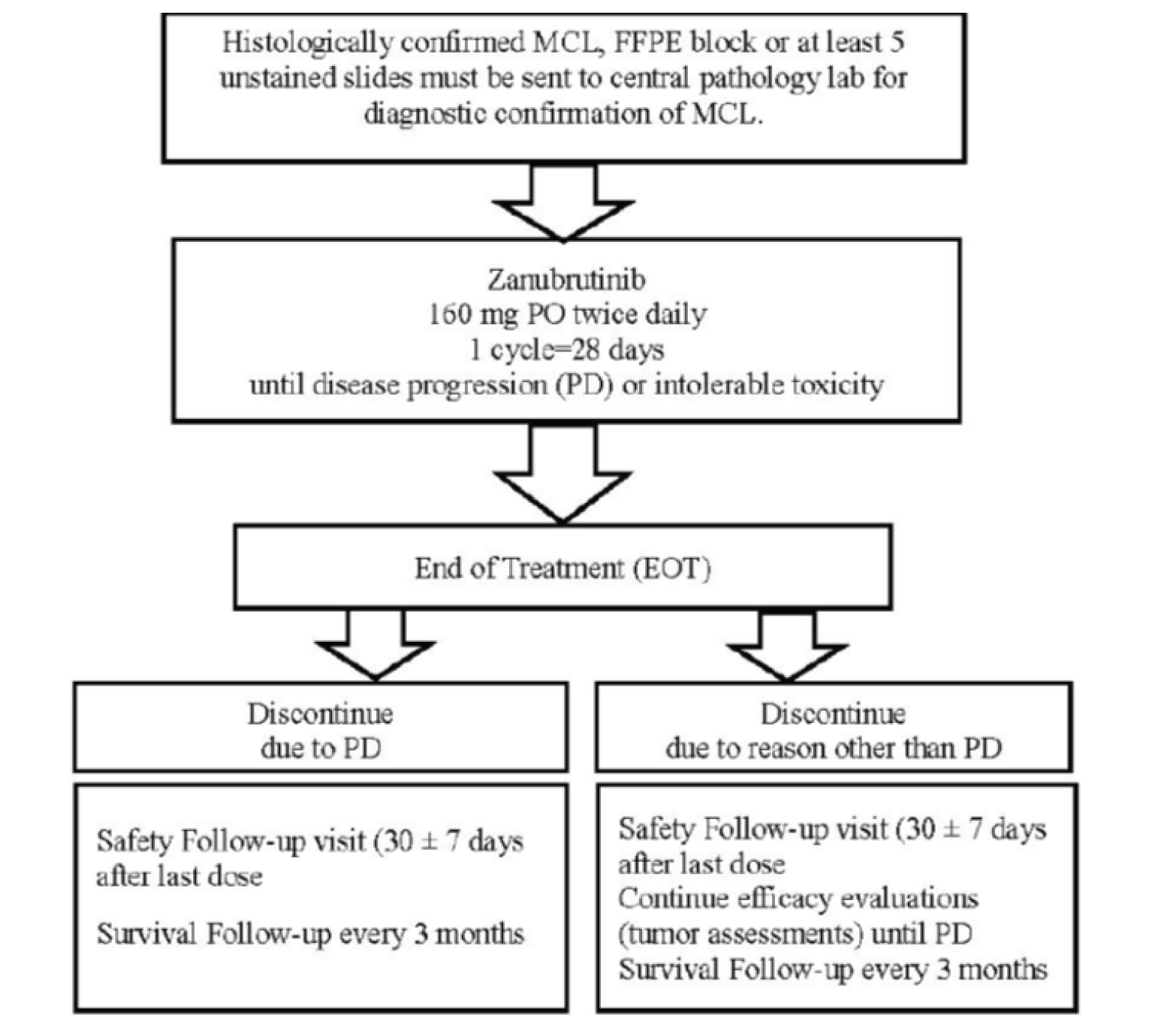 Flow chart depicting the overview of study design and key features of the Study 206 trial.