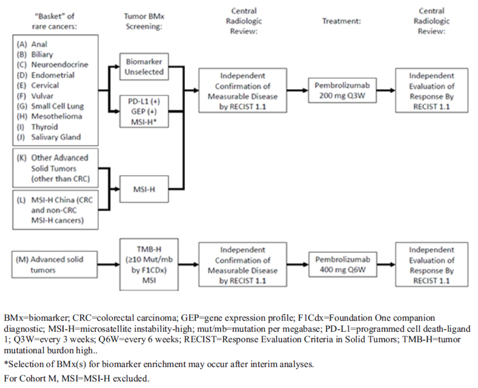 The overall study of KEYNOTE-158 included 13 cohorts. Only cohort D and cohort K are relevant for this review. The study design included a tumour biomarker (e.g., microsatellite instability–high) screen phase, a central radiologic review phase to confirm the measurable disease by Response Evaluation Criteria in Solid Tumours Version 1.1 independently, a pembrolizumab 200 mg Q3W treatment phase, and a central radiologic review phase to evaluate response by Response Evaluation Criteria in Solid Tumours Version 1.1 independently.