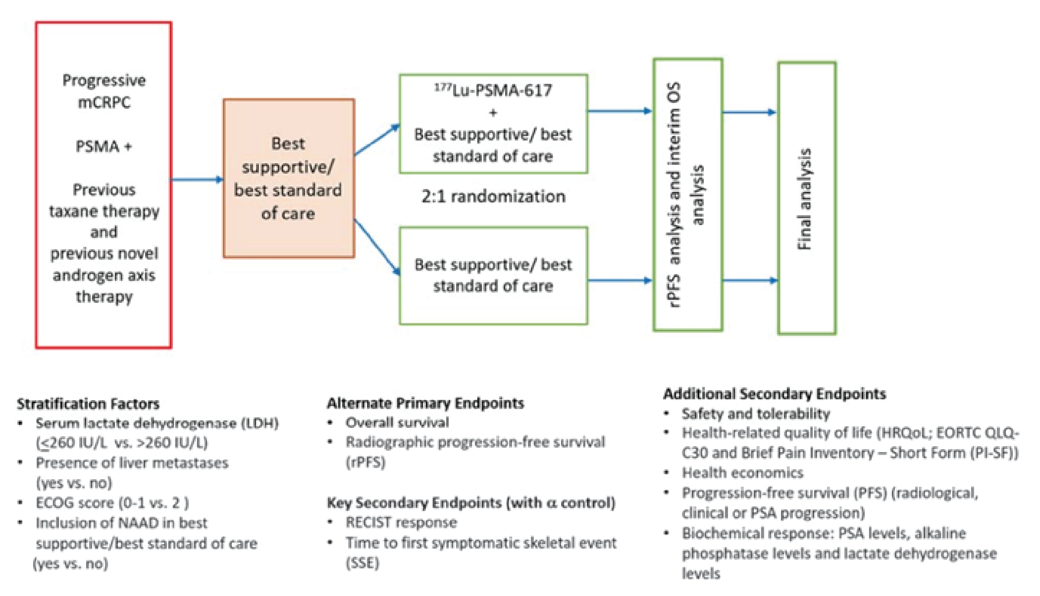 The design of the VISION trial.