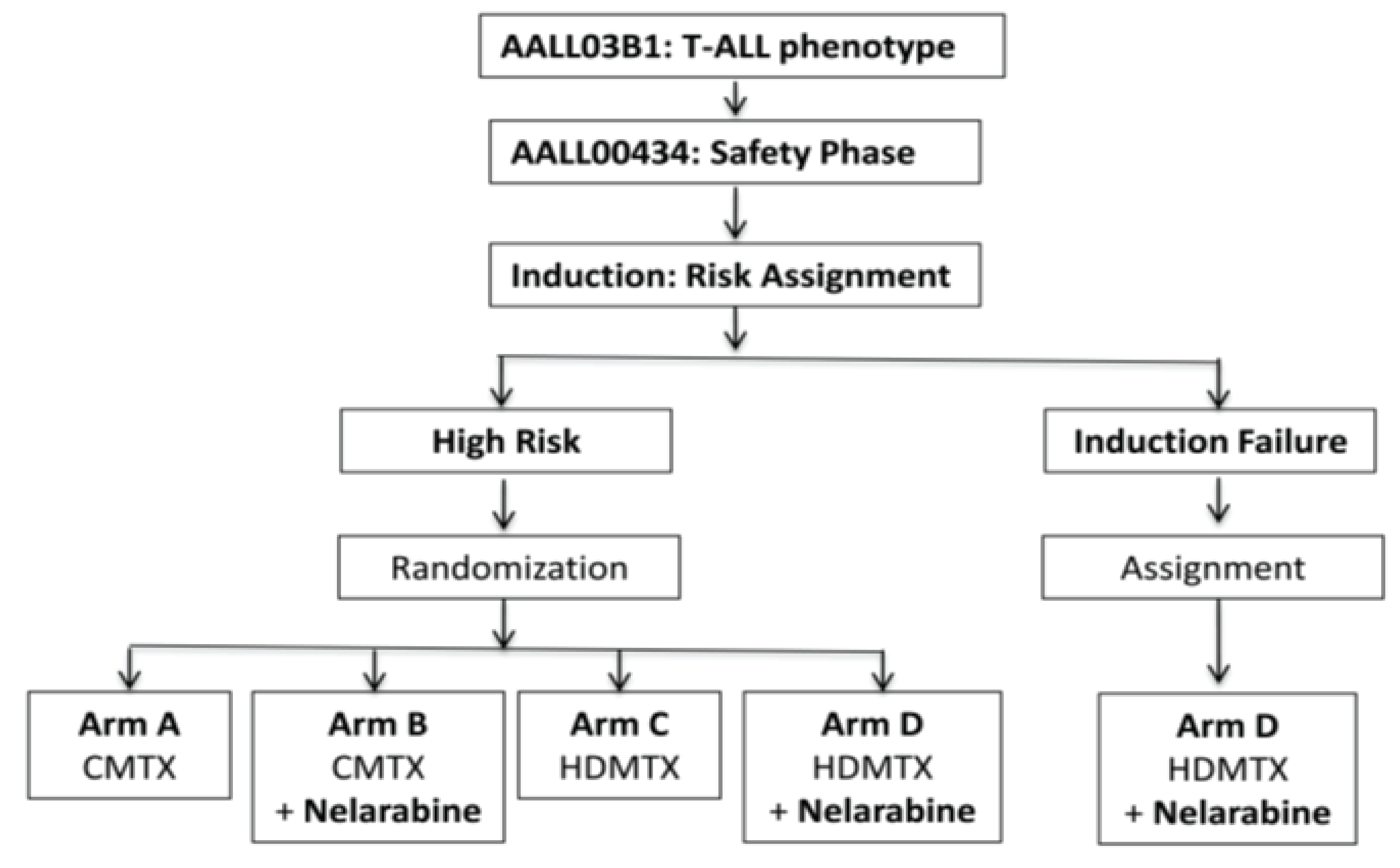 During the initial safety phase of COG AALL0434, only patients with high-risk T-ALL were randomized to receive or not receive nelarabine during consolidation, delayed-intensification, and maintenance therapies. All high-risk patients for whom induction failed were nonrandomly assigned to receive HD-MTC with nelarabine but were not included in the initial safety analysis. All patients with high-risk T-ALL with CNS3 disease were assigned to receive the HD-MTX regimen with or without nelarabine and received cranial radiation therapy (18 Gy). Patients with testicular leukemia were assigned to receive the HD-MTX regimen with or without nelarabine, and received testicular radiation therapy (24 Gy), if testicular disease had not resolved by the end of induction therapy.