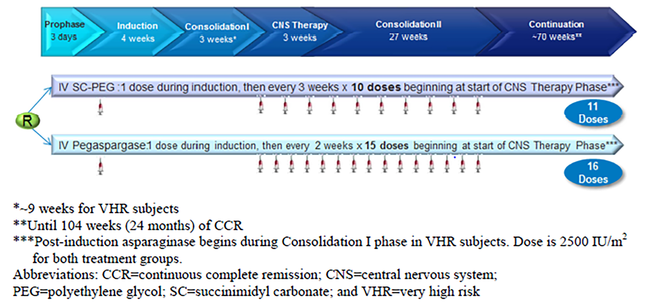 In the DFCI 11-001 study, treatment phases included a steroid prophase (3 days), induction (4 weeks), consolidation I (3 weeks), central nervous system therapy (3 weeks), consolidation II (27 weeks), and continuation (approximately 70 weeks, until 104 weeks [24 months] of continuous complete remission). Treatment was stratified based on patients’ risk status at randomization. Patients were considered as standard risk when the following criteria were met: age younger than 10 years, WBC count below 50,000/mm3, absence of central nervous system-leukemia at diagnosis, and with B-cell phenotype; all other patients were considered as high risk. Patients received a single dose of a study drug (calaspargase pegol or pegaspargase) during remission induction, and then calaspargase pegol every 3 weeks or pegaspargase every 2 weeks during intensification, for a total of 11 doses of calaspargase pegol or 16 doses of pegaspargase.