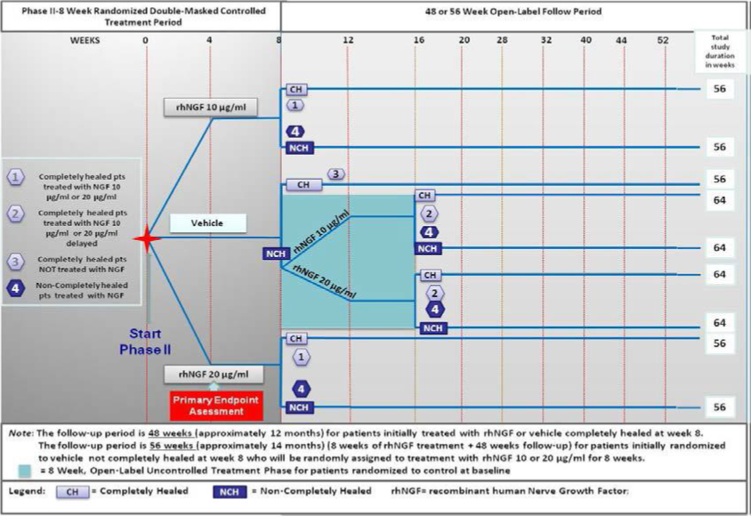 Study NGF0212 had an 8-week randomized double-blind treatment period and a 48- or 56-week open-label treatment period.