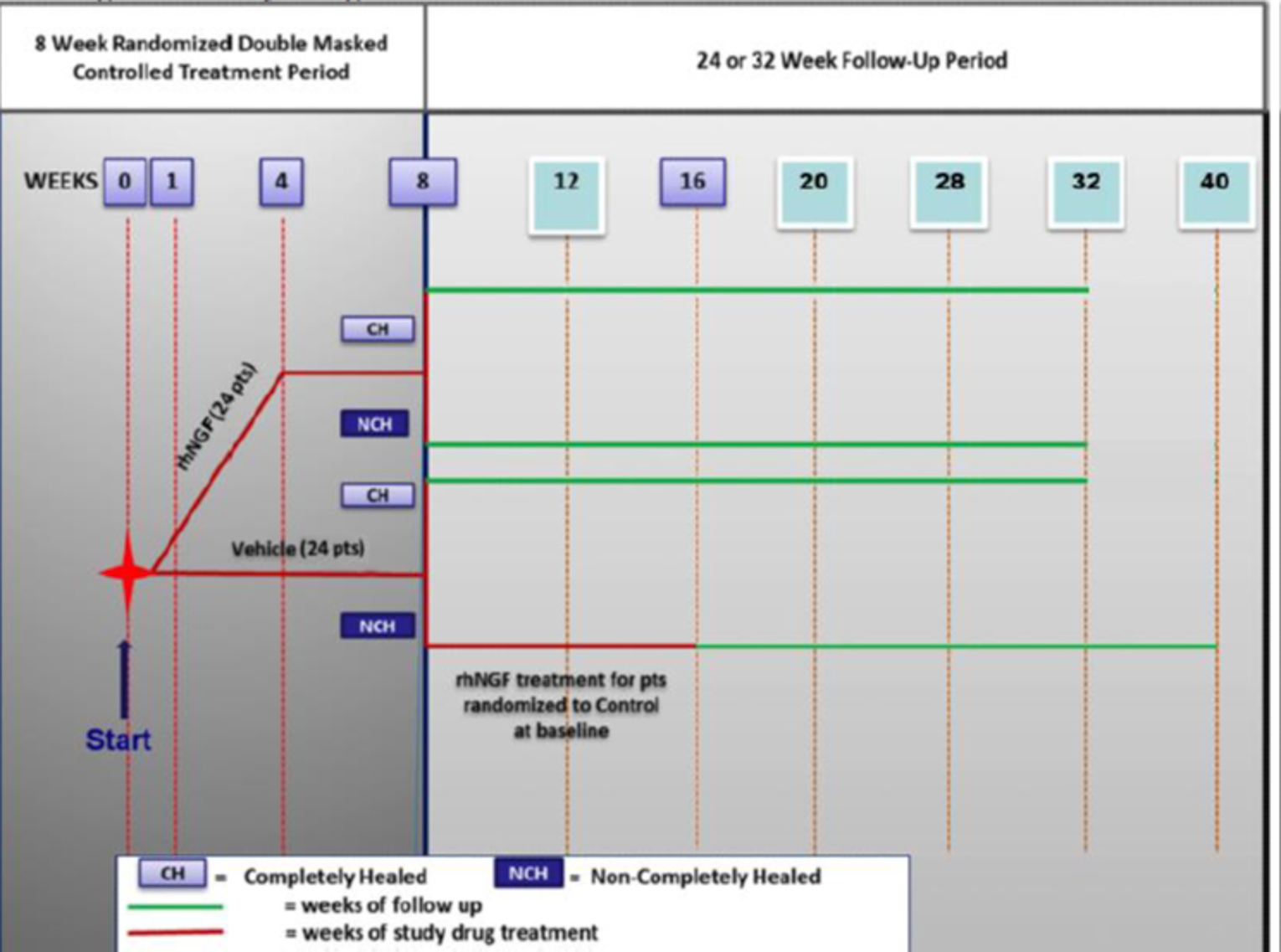 Study NGF0214 had an 8-week randomized double-blind treatment period and a 48- or 56-week open-label treatment period.