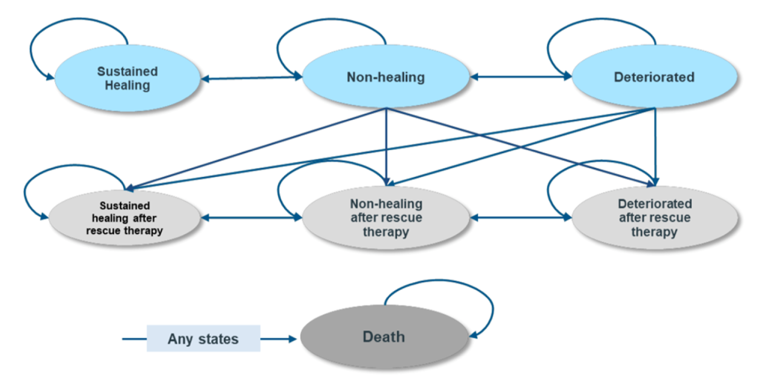 A diagram representing how the patient cohort moved through the sponsor’s model.