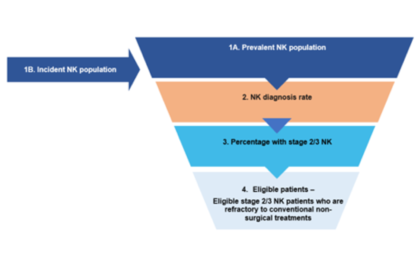Flow chart outlining how the population size for the budget impact is estimated.