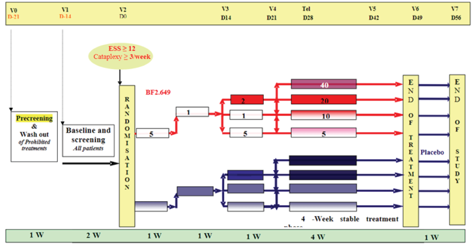 The flow of pitolisant hydrochloride or placebo dosage received by patients in the HARMONY CTP trial is demonstrated, from randomization to the end of study. There was a 7-week treatment period that consisted of 3 weeks of dose titration up to a maximum of 40 mg and 4 weeks of stable dosing. The treatment period was followed by a 1-week withdrawal period, during which all patients received placebo.