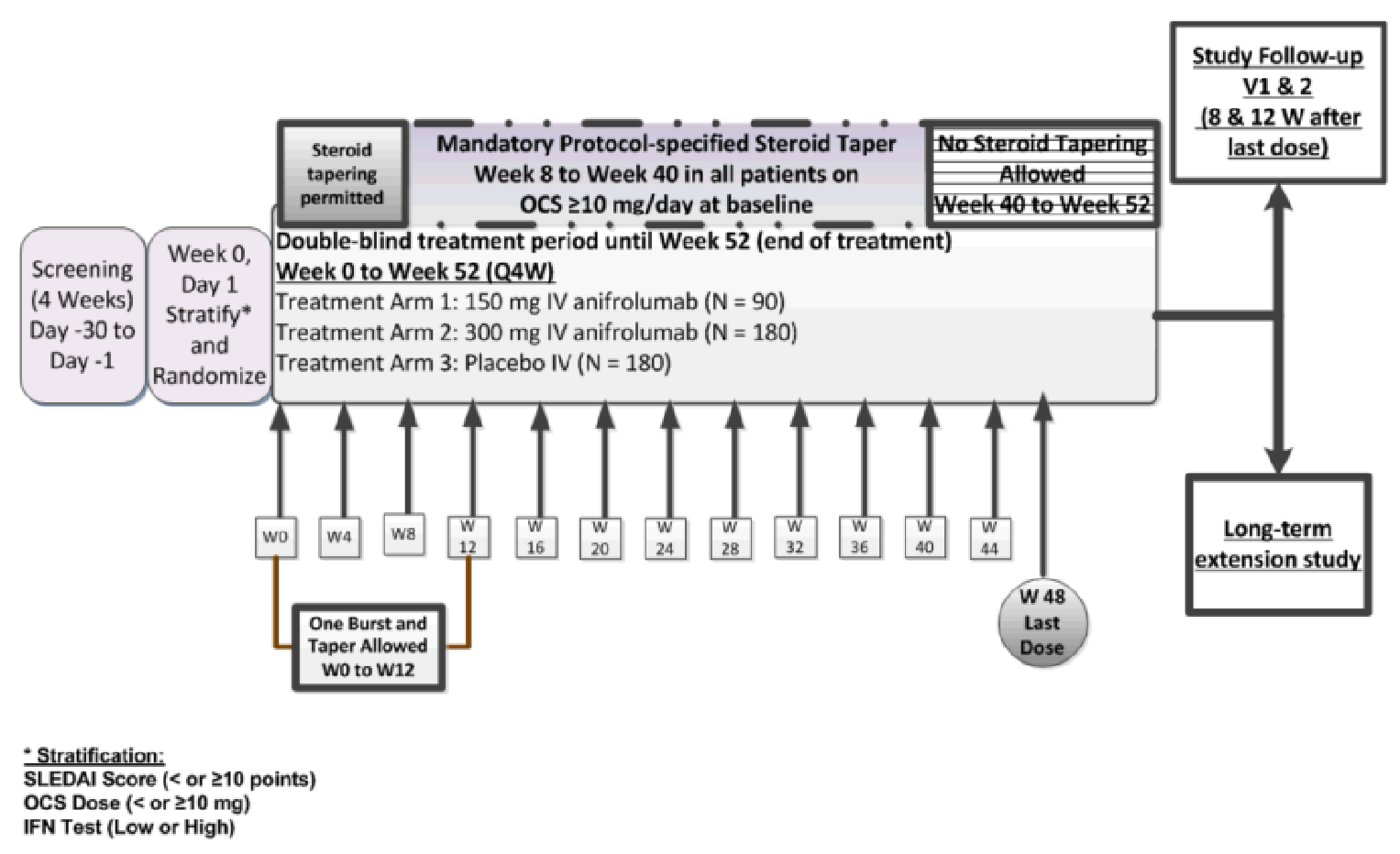 A diagram detailing the different phases of the TULIP-1 trial including the screening, stratification, randomization, treatment period from 0 to 52 weeks, the different treatment arms (anifrolumab 150mg versus anifrolumab 300mg versus placebo IV), steroid tapering, study follow-up, and long-term extension study portion.