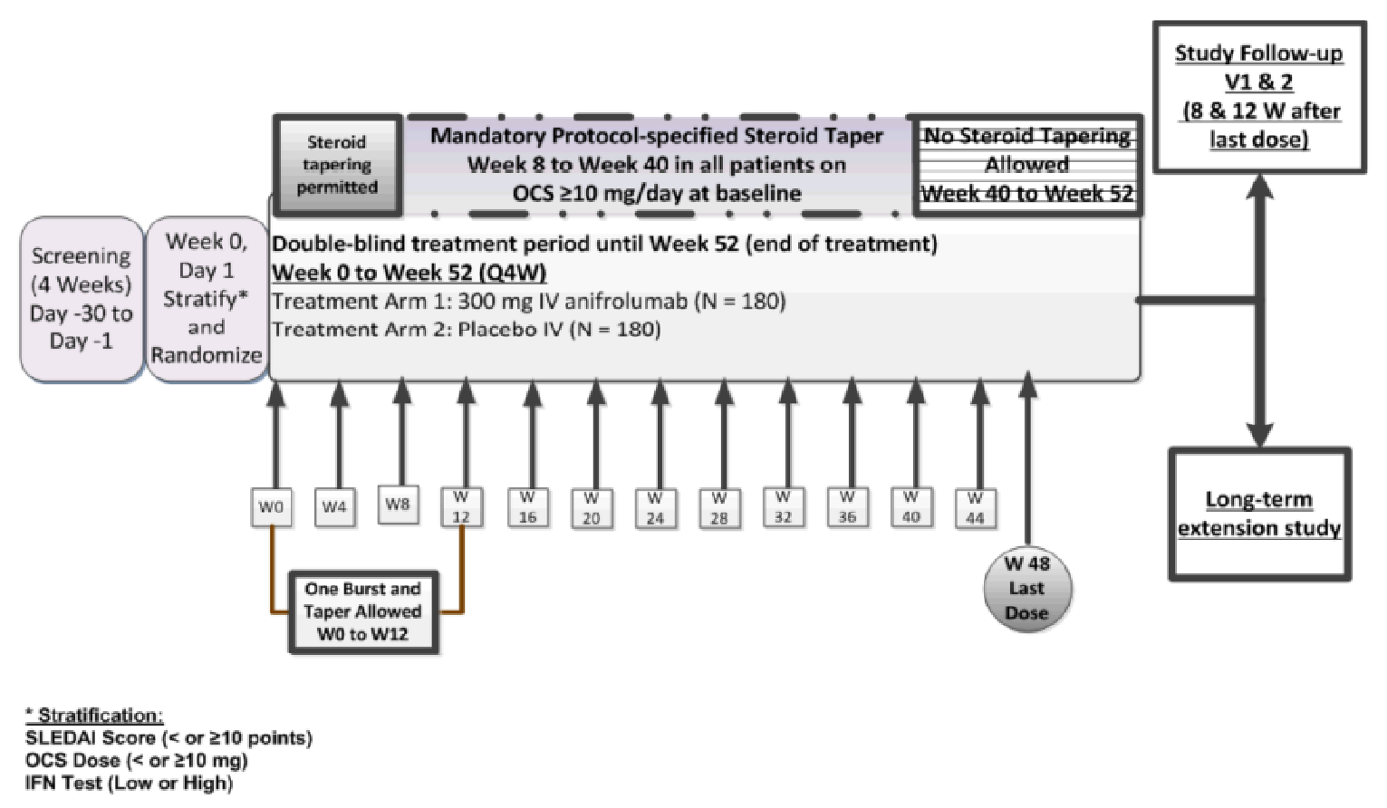 A diagram detailing the different phases of the TULIP-2 trial including the screening, stratification, randomization, treatment period from 0 to 52 weeks, the different treatment arms (anifrolumab 300mg versus placebo IV), steroid tapering, study follow-up, and long-term extension study portion.