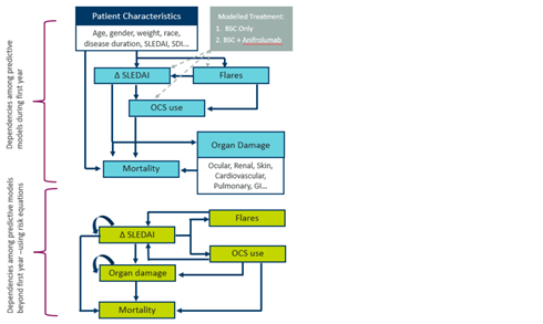 The sponsor considered the following dependencies among predictive models during year 1: Patient characteristics at baseline (age, gender, weight, race, SLEDAI, disease duration, etc.) impacted change in SLEDAI and number of flares; flares impacted change in SLEDAI as well. Change in SLEDAI and number of flares impacted OCS use; change in SLEDAI and OCS use impacted risk of mortality and risk of organ damage. In subsequent years, change in SLEDAI impacted flares, OCS use, risk of organ damage and future changes in SLEDAI; number of flares and OCS use impacted change in SLEDAI; risk of organ damage impacted future risk of organ damage; OCS use, change in SLEDAI and risk of organ damage impact mortality risk.