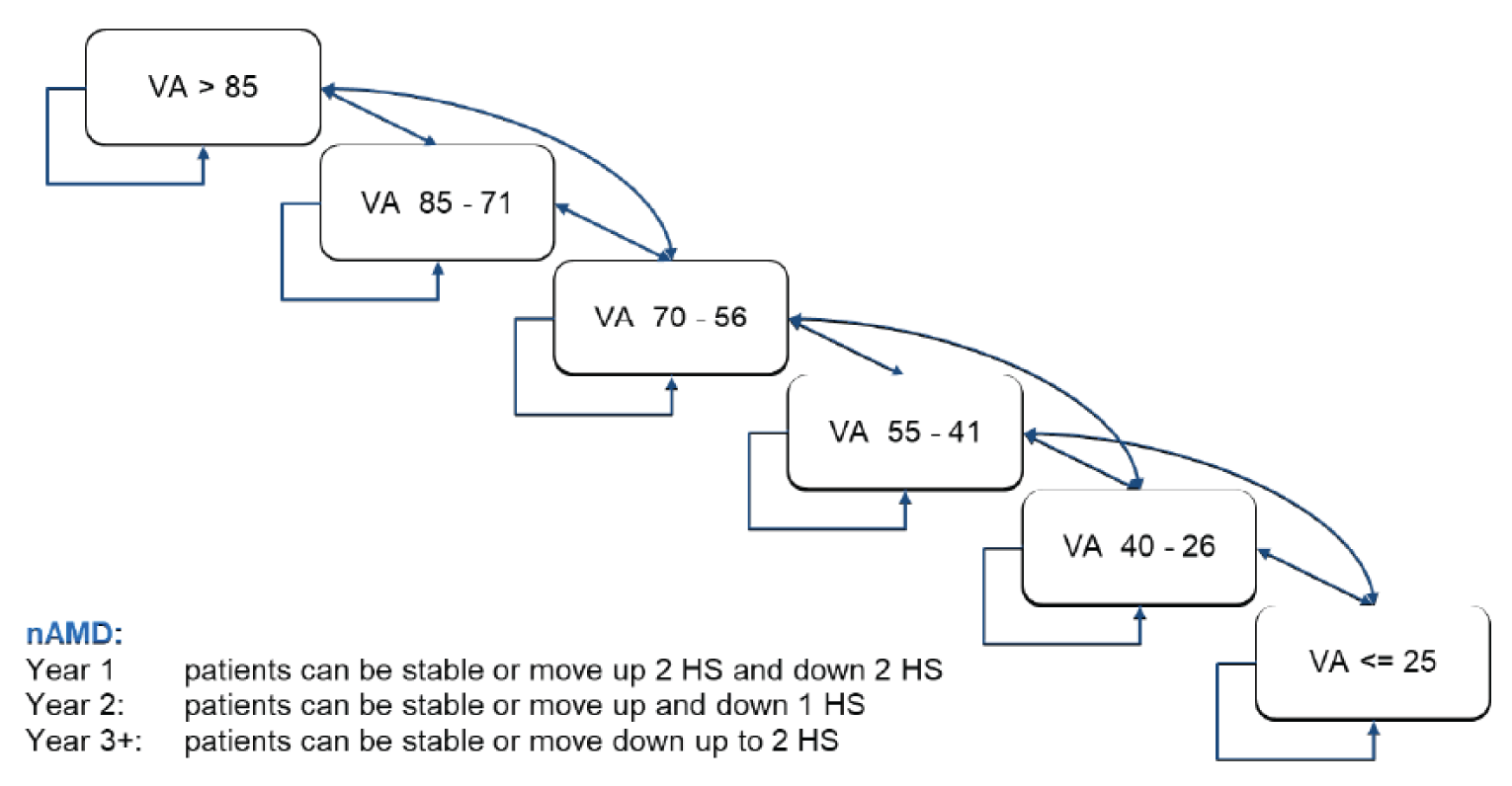 The figure outlines how patients’ visual acuity can change over time within the model.