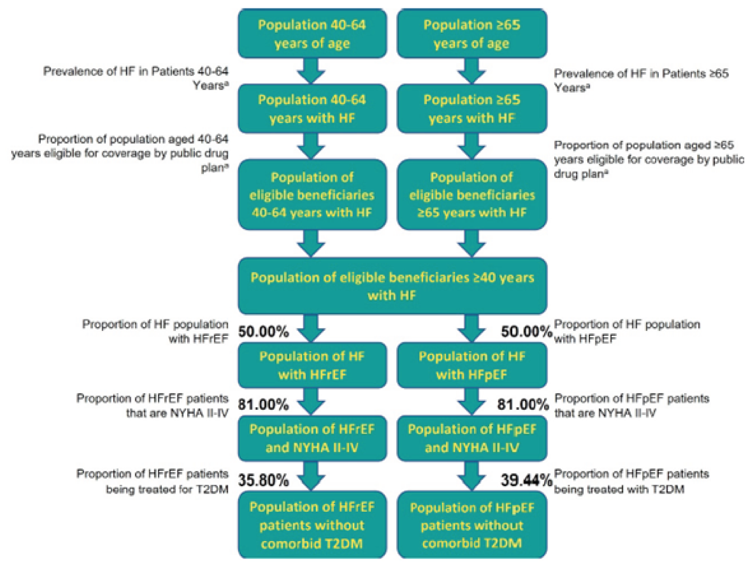 A flow diagram describing the derivation of the eligible population size, starting with the populations of patients aged 40 to 64 years and older than 65 years and the prevalence of heart failure in each age group, moving through various eligibility criteria before ending with the population of HFrEF and HFpEF patients eligible for treatment.