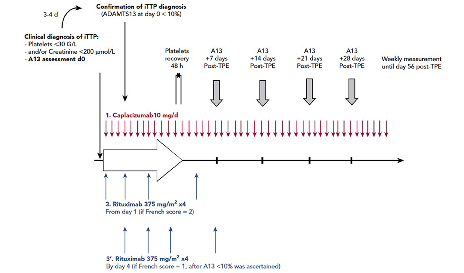 Daily therapeutic plasma exchange, corticosteroids, and caplacizumab were started as soon as the clinical diagnosis of immune-mediated thrombotic thrombocytopenic purpura was suspected based on the French score. Rituximab (375 mg per square metre) was administered intravenously on a day 1, day 4, day 8, and day 15. It could be started from day 1 if the French score was highly suggestive for the diagnosis of immune-mediated thrombotic thrombocytopenic purpura (French score&nbsp;= 2) or alternatively by day 4 of the management once severe ADAMTS13 deficiency was ascertained (French score&nbsp;= 1). Caplacizumab was continued for 30 days after therapeutic plasma exchange cessation and could be extended until ADAMTS13 improvement (i.e., activity ≥&nbsp;20%). Therapeutic plasma exchange were performed daily until 2 days of a normal platelet count and interrupted with no maintenance.