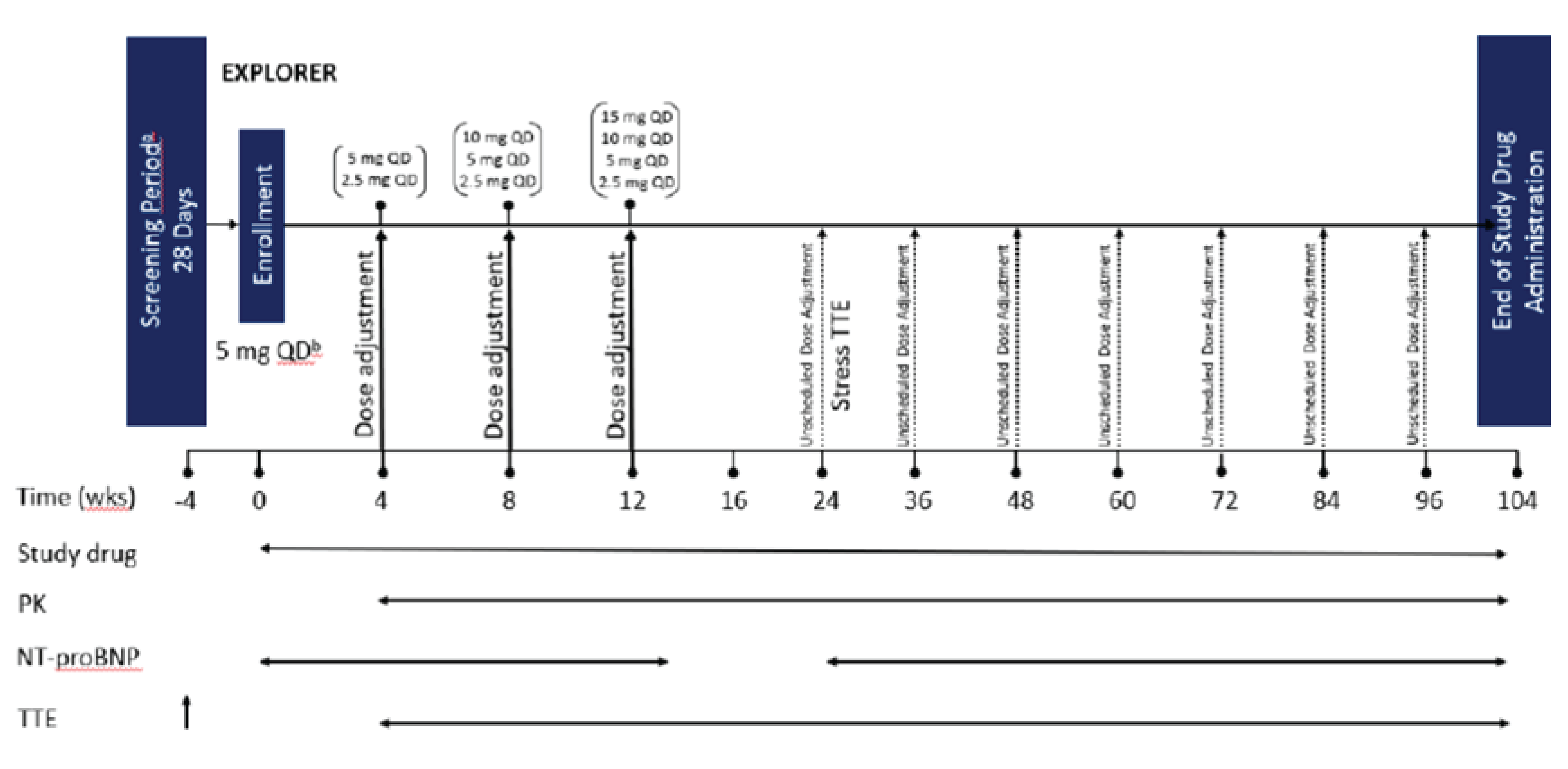 An overview of study design and key features of the EXPLORER-LTE cohort, including the screening period (28 days); dose adjustments guided by echocardiogram assessments at weeks 4, 8, and 12; active-controlled treatment period (16 weeks); and end-of-study drug administration at week 104.