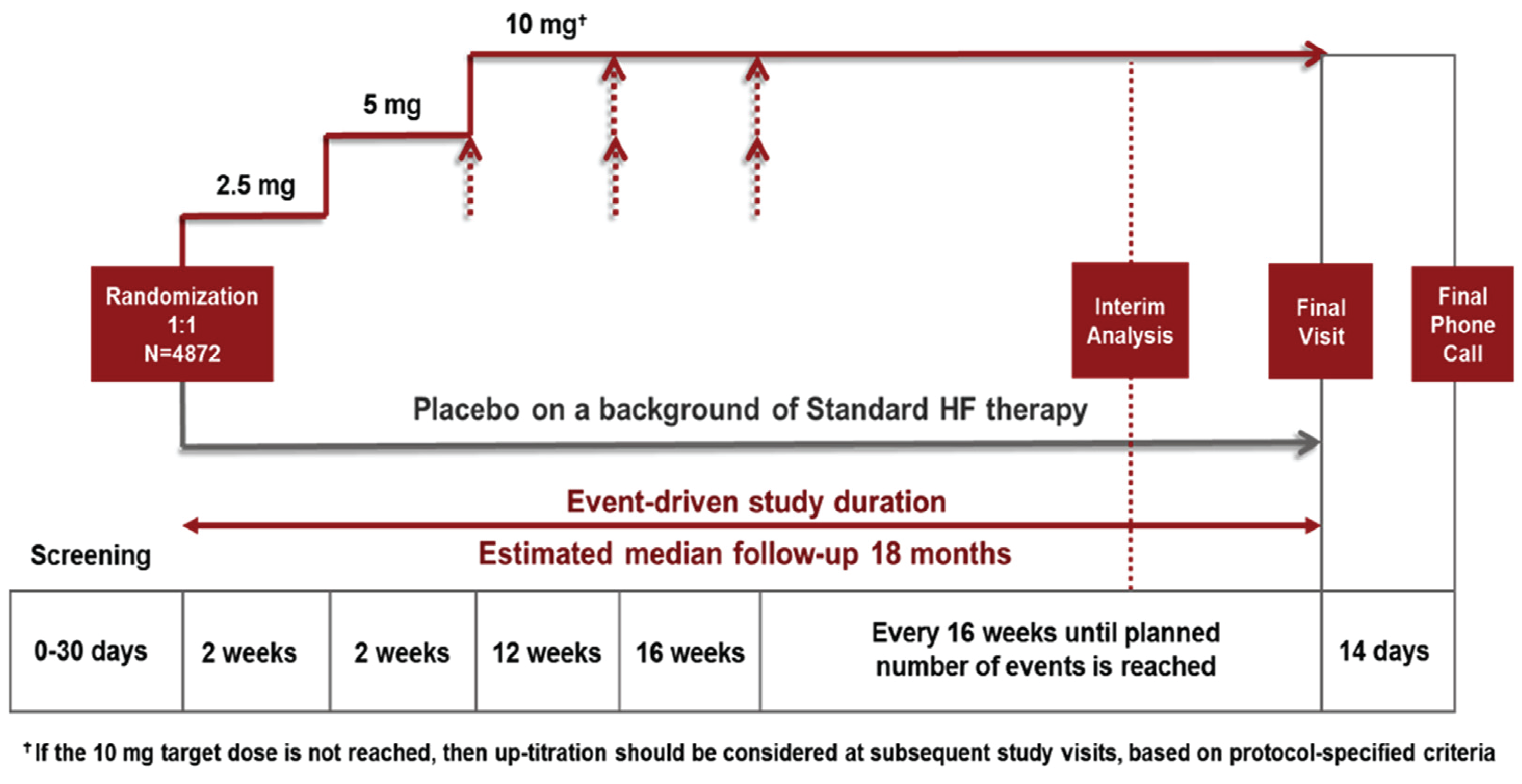 After a screening period of up to 30 days, patients were randomized in a 1:1 ratio to receive vericiguat at 2.5 mg, followed by a doubling of the dose every 2 weeks up to the target maintenance dose of 10 mg orally once daily or to receive matching placebo in a double-blind manner. In the VICTORIA trial, the randomization of patients was stratified by geographical region and race at screening. Patients were evaluated at week 2, week 4, and every 4 months thereafter until the end of the trial. This was an event-driven trial. Efficacy and futility interim analyses for the trial were planned for a time when approximately 75% of the planned number of CV death events was reached and the median follow-up for safety assessment was at least 10 months.
