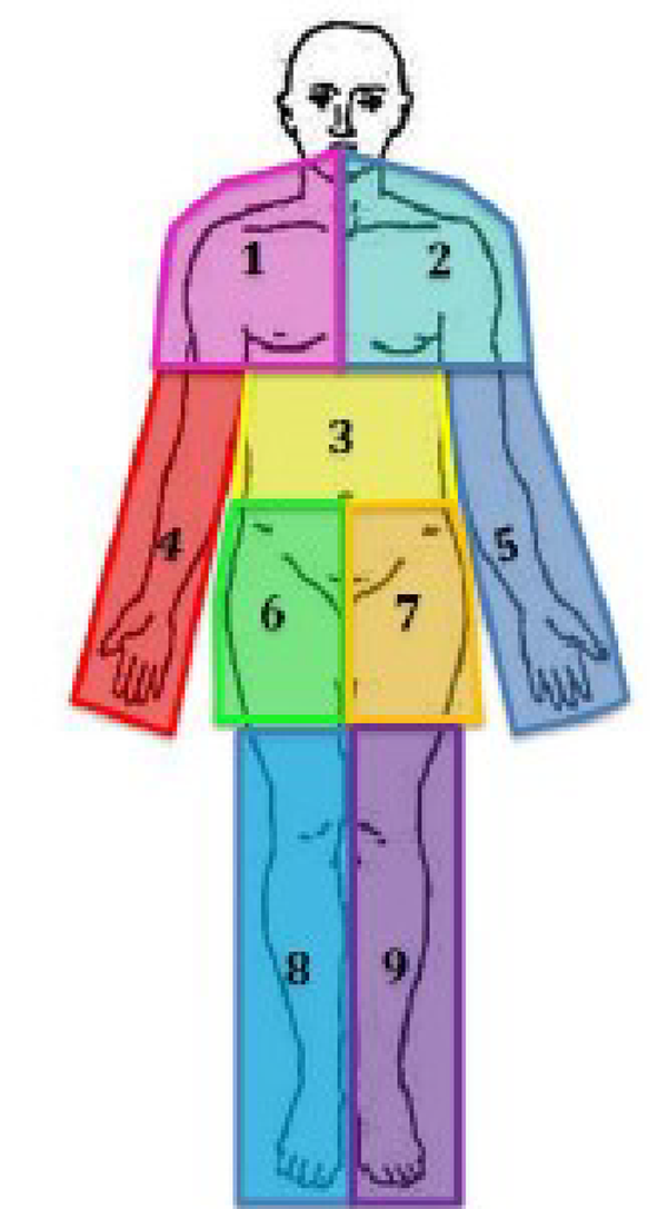 This figure depicts the demarcation of the 9 anatomic regions that were standardized to guide the reading of CT scan to detect new HO volume across body regions. The 9 anatomic regions are numbered as follows: region 1 includes the right shoulder, chest, upper back, and neck (coverage includes the right chest, neck [base of skull], and shoulder through the midhumerus); region 2 includes the left shoulder, chest, upper back, and neck (coverage includes left chest, neck [base of skull], and shoulder through the midhumerus); region 3 includes the midtorso (coverage includes the torso below from the 10th thoracic vertebra to above the iliac crests); region 4 includes the right arm (coverage includes the midhumerus through the hand); region 5 includes the left arm (coverage includes the midhumerus through the hand); region 6 includes the right hip (coverage includes the right iliac crest and hip through midfemur); region 7 includes the left hip (coverage includes the left iliac crest and hip through midfemur); region 8 includes the right lower leg (coverage includes the right midfemur through the foot); and region 9 includes the left lower leg (coverage includes the left midfemur through the foot).