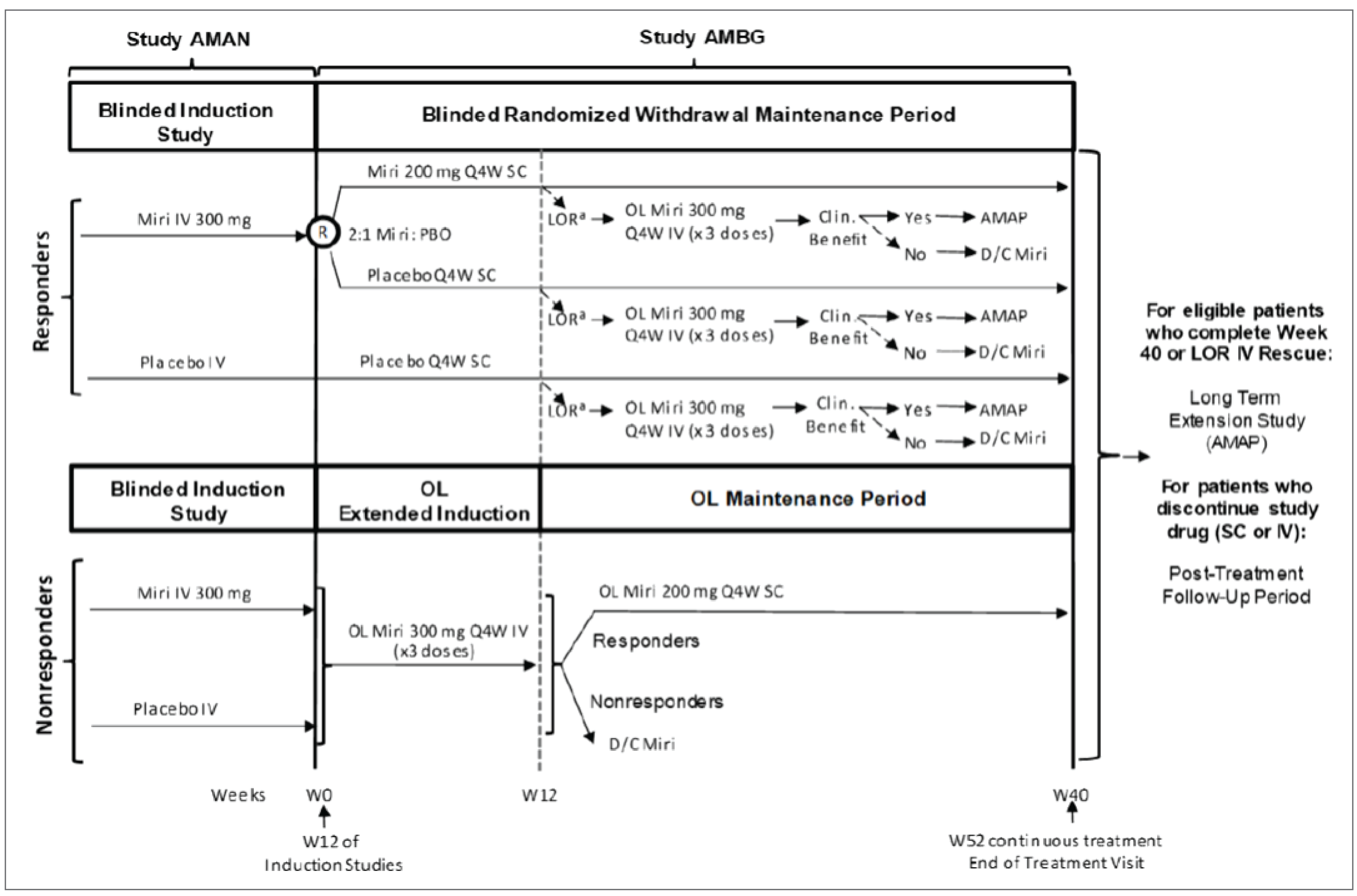 In the LUCENT-1 trial (AMAN) induction period, patients were randomized 2:1 to blinded IV mirikizumab or placebo. At the induction period end, patients could enter the LUCENT-2 trial (AMBG) or discontinue study treatment and complete the posttreatment follow-up. In the treatment period of the LUCENT-2 trial, patients whose UC responded to blinded IV mirikizumab during the induction period were randomized 2:1 to receive blinded SC mirikizumab or placebo. Patients whose UC responded to blinded placebo during the induction period remained on blinded placebo in the treatment period. Patients whose UC did not respond to the study drug during the induction period received extended induction therapy with open-label IV mirikizumab in the LUCENT-2 trial. Patients with delayed clinical response remained on open-label SC mirikizumab, while patients whose UC did not respond to open-label IV mirikizumab during the extended induction period discontinued the study drug. Patients who completed the LUCENT-2 trial were eligible to enroll in the LUCENT-3 (AMAP) extension study.