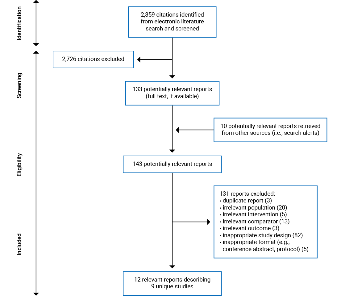 A total of 2,859 citations were identified; 2,726 were excluded, while 143 electronic literature and grey literature potentially relevant full-text reports, including 10 additional reports from other sources, were retrieved for scrutiny. In total, 12 reports were included in the review.