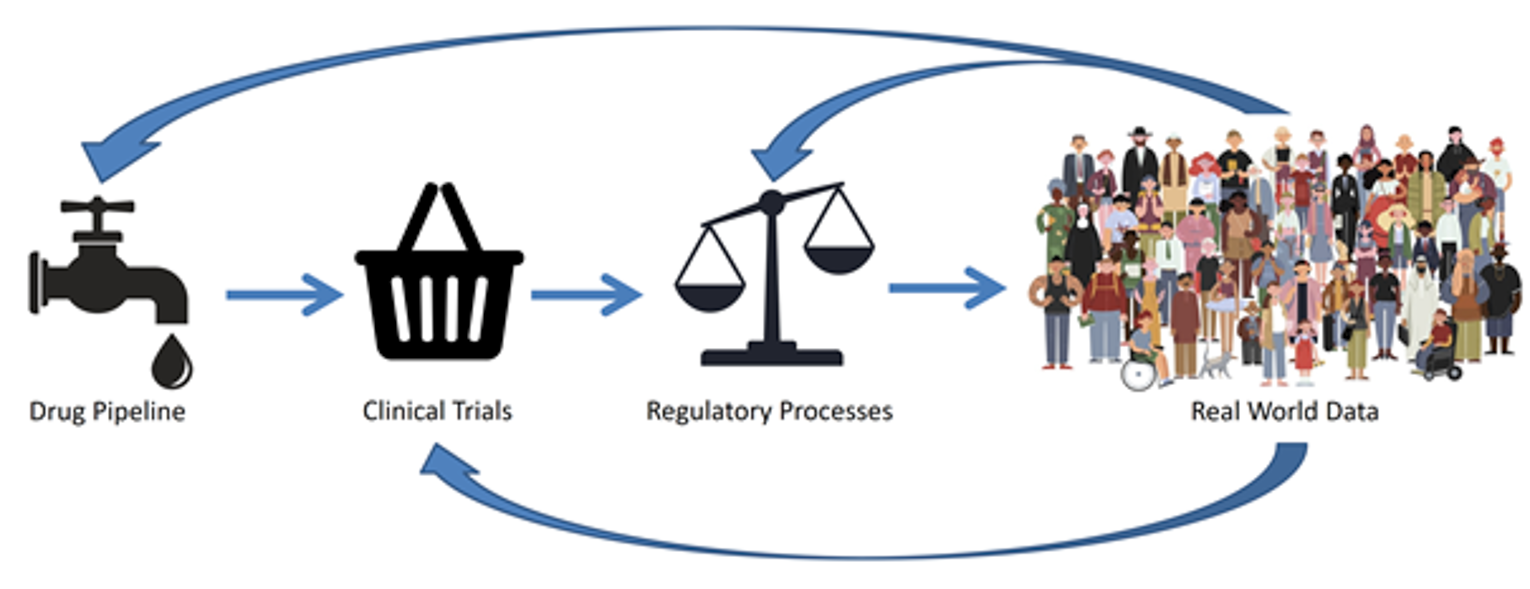 A continuum of research and health system starting from a drug pipeline, clinical trials, regulatory processes and real-world data is presented and shows connections for precision medicine.
