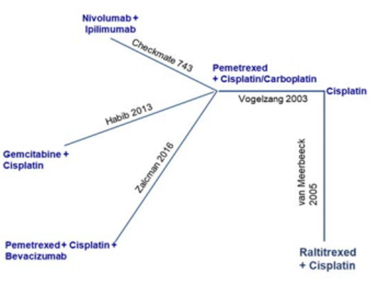 The network has an asymmetric geometry. The central node is cisplatin or carboplatin plus pemetrexed. Four nodes are connected to the central one: nivolumab plus ipilimumab (1 study), gemcitabine plus cisplatin (1 study), pemetrexed plus cisplatin plus bevacizumab (1 study), and cisplatin (1 study). A node for raltitrexed plus cisplatin is connected to the cisplatin node (1 study).