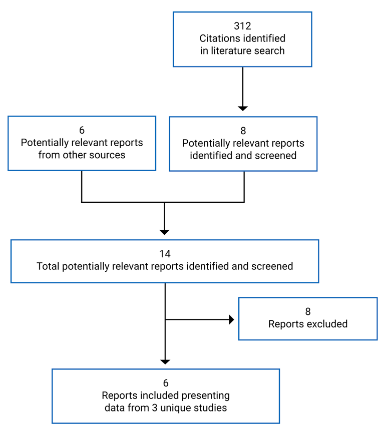 312 citations were identified, 304 were excluded, and 6 additional relevant reports were identified from other sources. Of these, 14 potentially relevant full-text reports were retrieved for scrutiny. In total, 6 reports were included in the review.