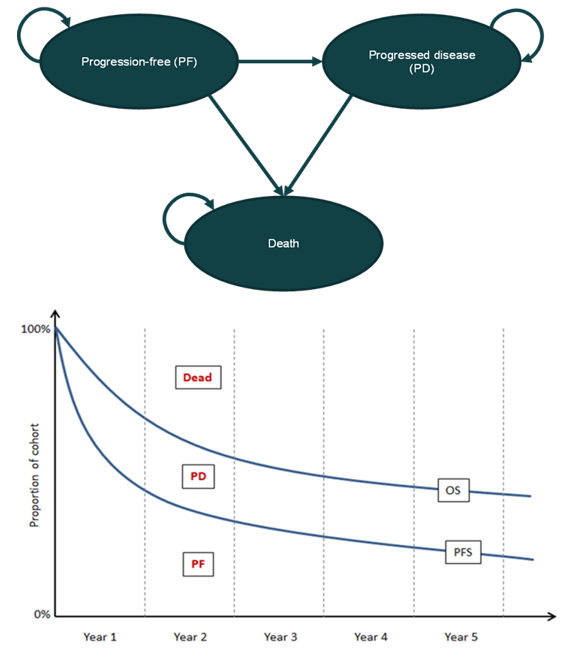 A diagrammatic representation of a partition survival model that details how patients move through the model states.