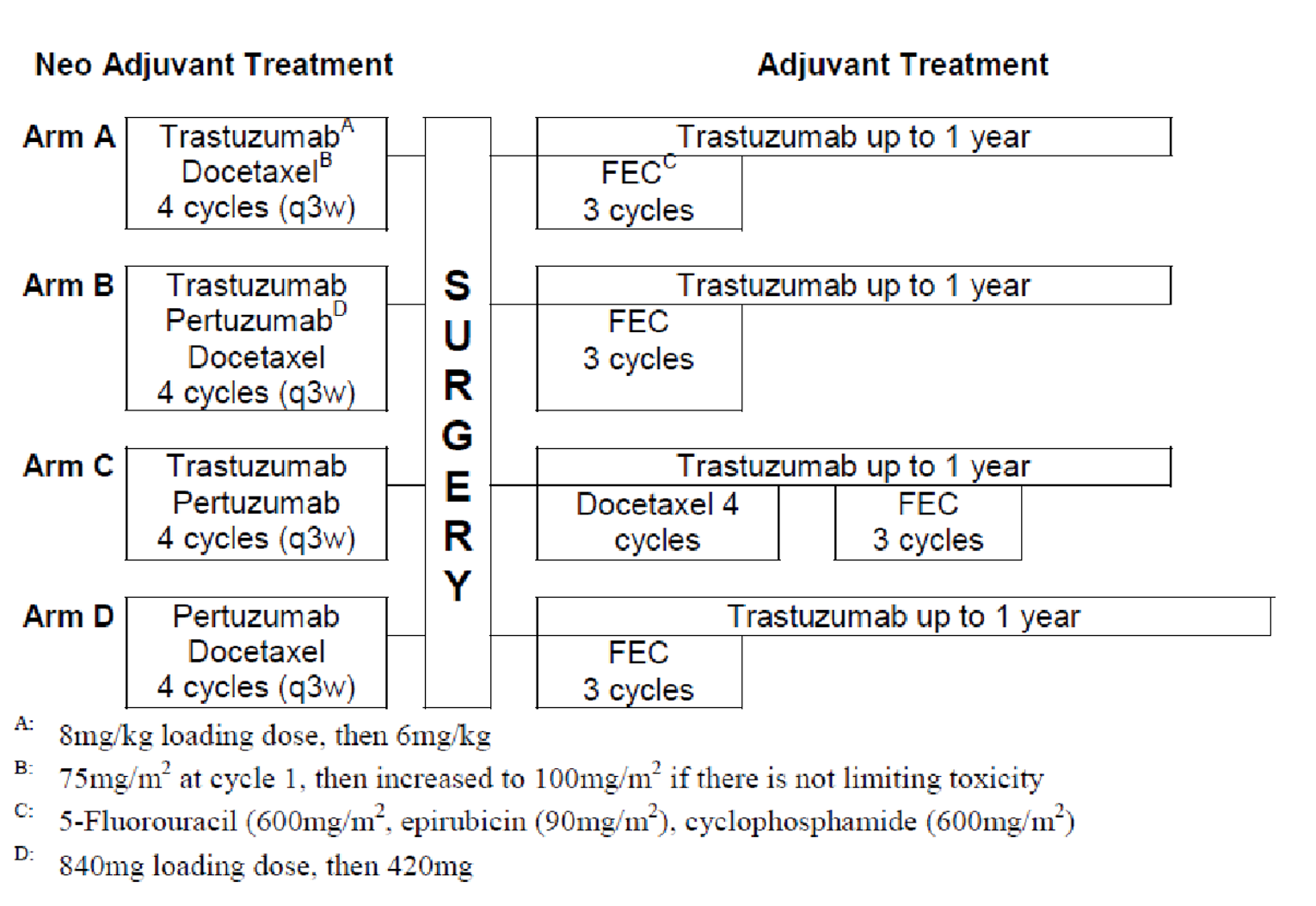 Describes the flow of patients from randomization into 4 neoadjuvant treatment groups, then to surgery and subsequent adjuvant treatment.