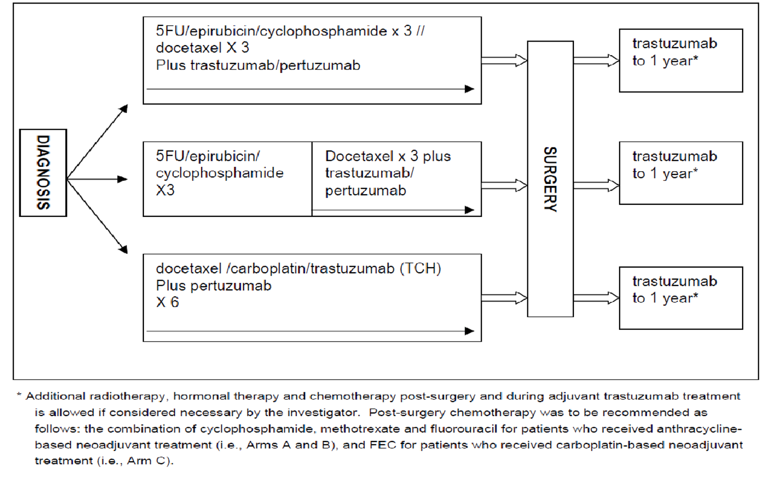 Describes the flow of patients from randomization into 3 neoadjuvant treatment groups, then to surgery and subsequent adjuvant trastuzumab treatment
