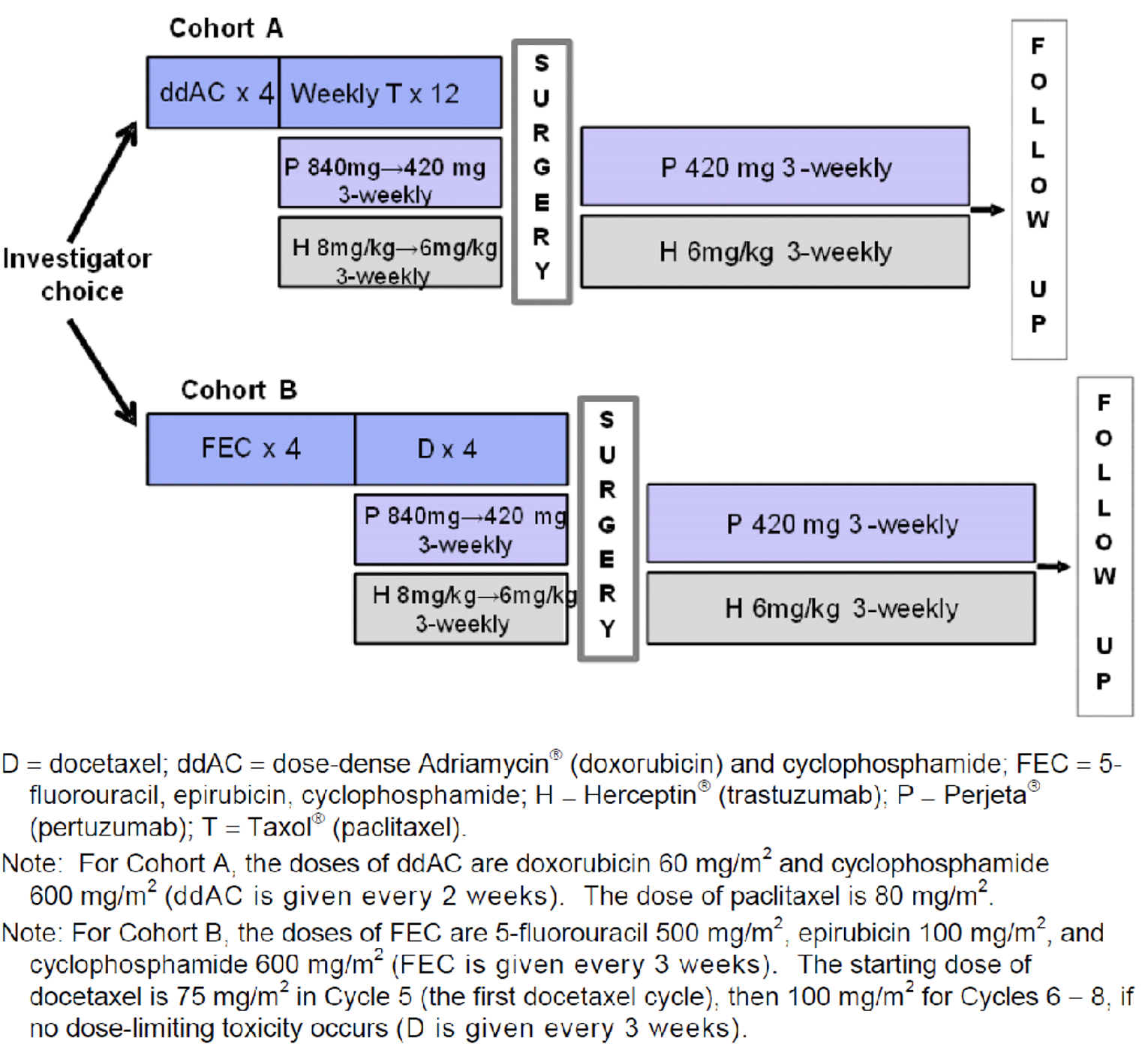 Describes the flow of patients from allocation (based on investigator’s choice) into 1 of 2 neoadjuvant treatment groups, then to surgery and subsequent adjuvant treatment.