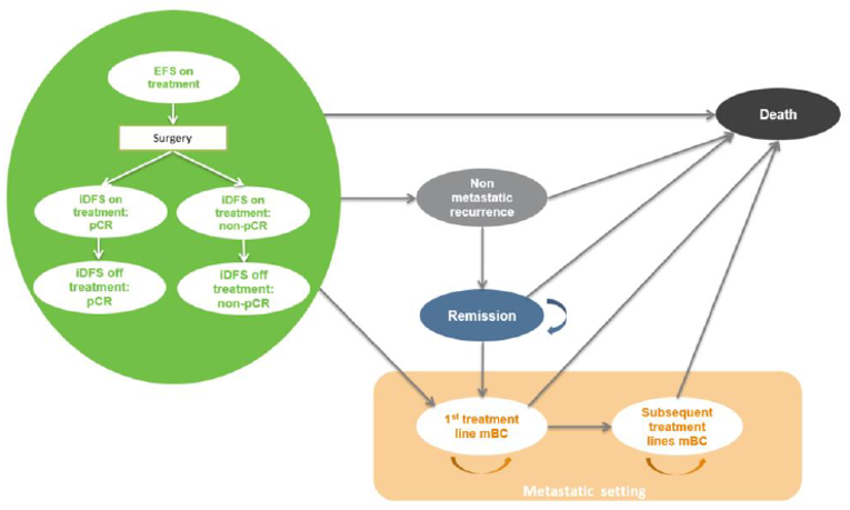 Patients begin in EFS on treatment, receive surgery, and can achieve a pCR or not achieve a pCR; from here patients can die, experience a non-metastatic recurrence or receive a first line treatment for mBC. Those experiencing a non-metastatic recurrence can experience remission or death. Those in remission can remain there or receive a first line treatment for mBC. Patients can stay on their first line treatment for mBC, die, or move to a subsequent treatment for mBC. Patients on a subsequent treatment for mBC can remain in that state or die.