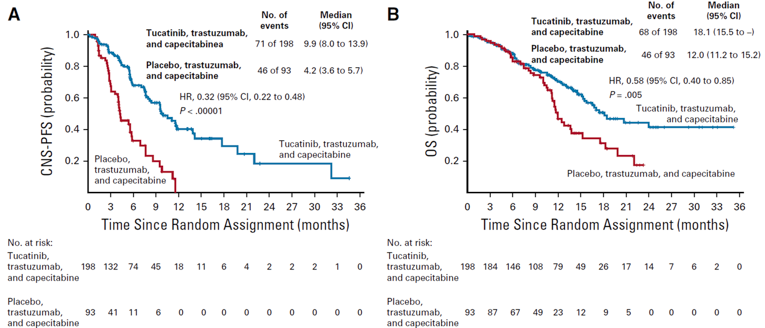 Kaplan-Meier curves of central nervous system progression-free survival and overall survival in patients with brain metastases.