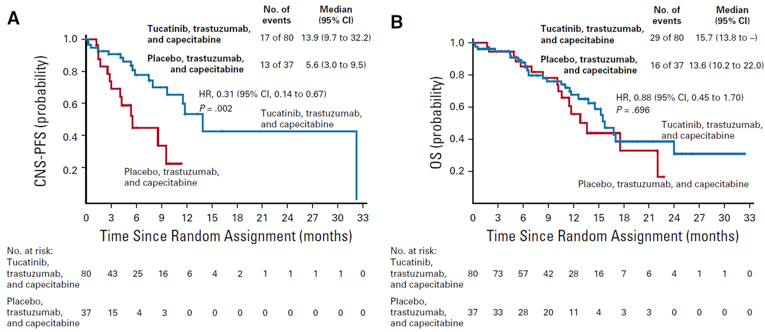 Kaplan-Meier curves of central nervous system progression-free survival and overall survival in patients with stable metastases.