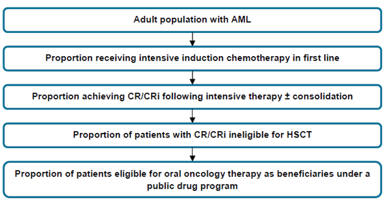 Flow chart describing the steps taken to determine the eligible population size.