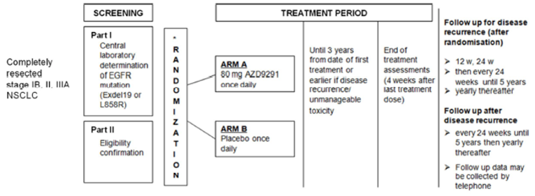 After completing screening, patients were randomized to either osimertinib or placebo then treated until disease recurrence or unmanageable toxicity for up to 3 years. Patients then completed their end-of-treatment assessments and were followed for up to 5 years.