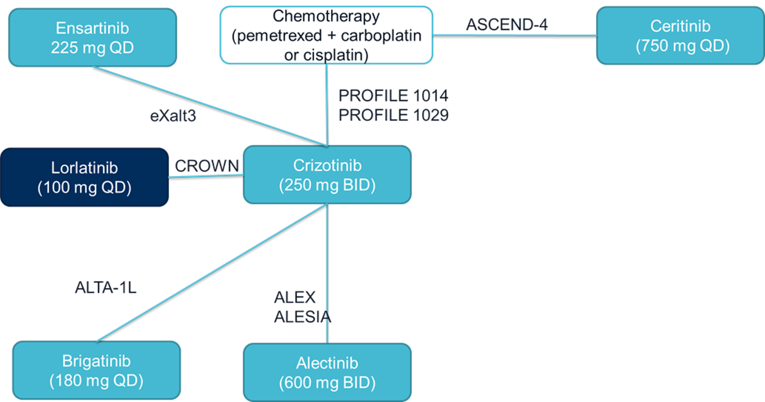 Network diagram of trials included in the sponsor’s indirect treatment comparison for overall survival.