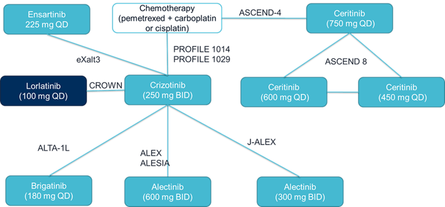 Network diagram of trials included in the sponsor’s indirect treatment comparison for objective response rate.