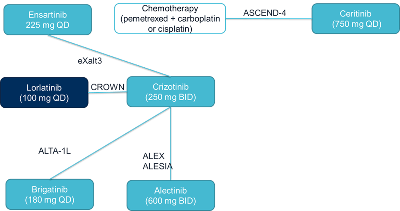 Network diagram of trials included in the sponsor’s indirect treatment comparison for intracranial complete response.