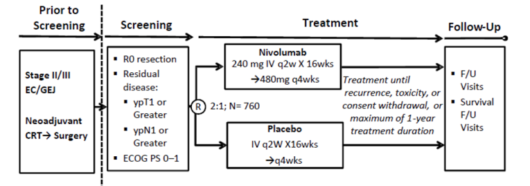 The overall study included prior Screen phase, Screen phase, Treatment phase and follow-up phase.