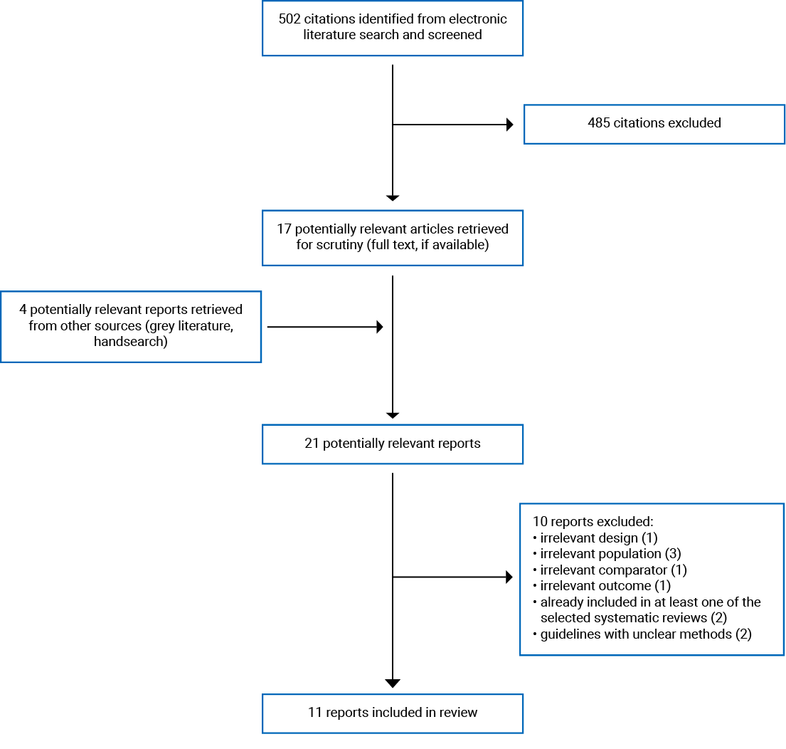 502 citations were identified, 485 were excluded, while 17 electronic literature and 4 grey literature potentially relevant full-text reports were retrieved for scrutiny. In total, 11 reports are included in the review. Appendix 1: Characteristics of Included Publications