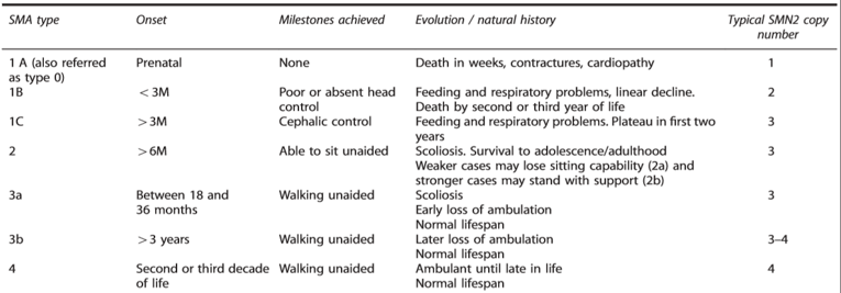 The phenotypic classification of SMA type (1 [A, B, or C], 2, 3 [a or b], and 4) is determined by the age of onset of signs and symptoms, milestones achieved, and the number of copies of the SMN2 gene. A higher number of copies of SMN2 is associated with a less severe phenotype.