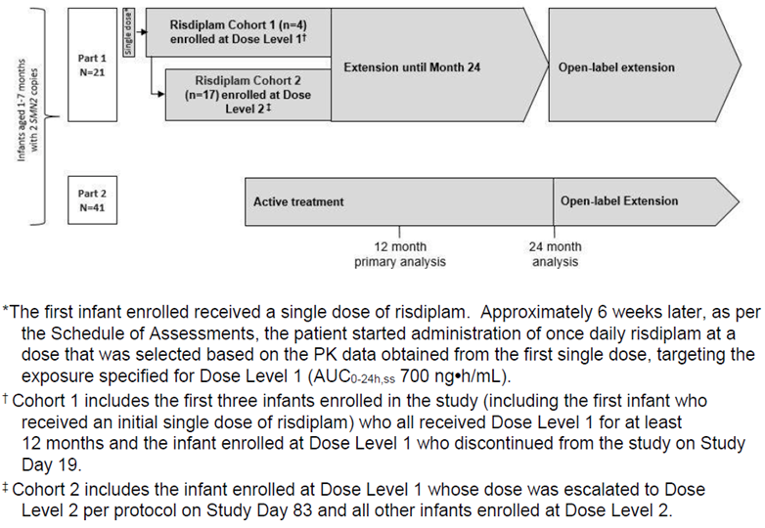 FIREFISH Part 1 enrolled 21 infants aged 1 to 7 months, of whom 4 received dose level 1 (Cohort 1) and 17 received dose level 2 (Cohort 2). At the end of the Part 1 treatment period, patients could continue into the extension phase or move to active treatment in Part 2 of the FIREFISH study.