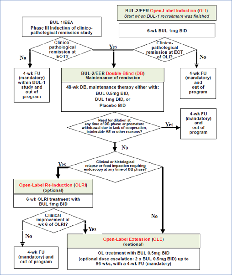 Patients who achieved clinicopathologic remission during the double-blind or open-label induction phases of the induction trial BUL-1/EEA were eligible to enrol in the BUL-2/EER trial. In addition, a 6-week open-label induction treatment arm with budesonide 1 mg orodispersible tablet twice daily was opened in the BUL-2/EER study. Patients in clinicopathologic remission at the end-of-treatment visit of either the open-label induction phase of BUL-2/EER or the induction trial BUL-1/EEA were offered to continue in the 48-week double-blind phase of the BUL-2/EER trial. At start of the double-blind treatment phase of the BUL-2/EER trial, patients were assigned to 1 of the 3 treatment groups via a central randomization procedure using a 1:1:1 allocation ratio to receive a 48-week, double-blind treatment with either budesonide 0.5 mg orodispersible tablet, budesonide 1 mg, or placebo orodispersible tablet twice daily. Patients in the BUL-2/EER trial with a clinical or histologic relapse or a food impaction that needed endoscopic intervention during the double-blind treatment phase were offered an open-label re-induction of remission or response treatment with budesonide 1 mg for up to 6 weeks. Patients completing the double-blind treatment phase without treatment failure and patients with clinical improvement in the open-label re-induction phase could receive open-label extension treatment with budesonide 0.5 mg twice daily (or with an escalated dose of 2 times budesonide 0.5 mg twice daily) for up to 48 weeks, with a further optional continuation of the open-label extension phase up to 96 weeks of total open-label extension treatment, or until the date budesonide orodispersible tablets had received marketing authorization and were available in the market (whichever came first). Patients were followed up to 4 weeks after their last treatment visit in the double-blind or open-label phase.