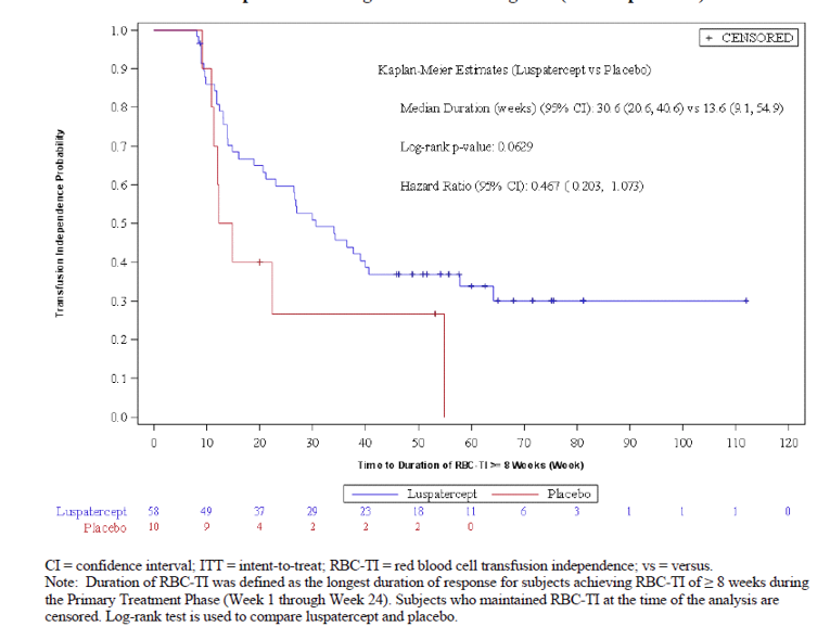A Kaplan–Meier curve capturing the event 8 weeks or more or RBC transfusion independence in luspatercept-treated patients and placebo-treated patients. The two lines diverge just before the 10 weeks mark. The calculated hazard ration is 0.467 with a 95% CI of 0.203 to 1.073.