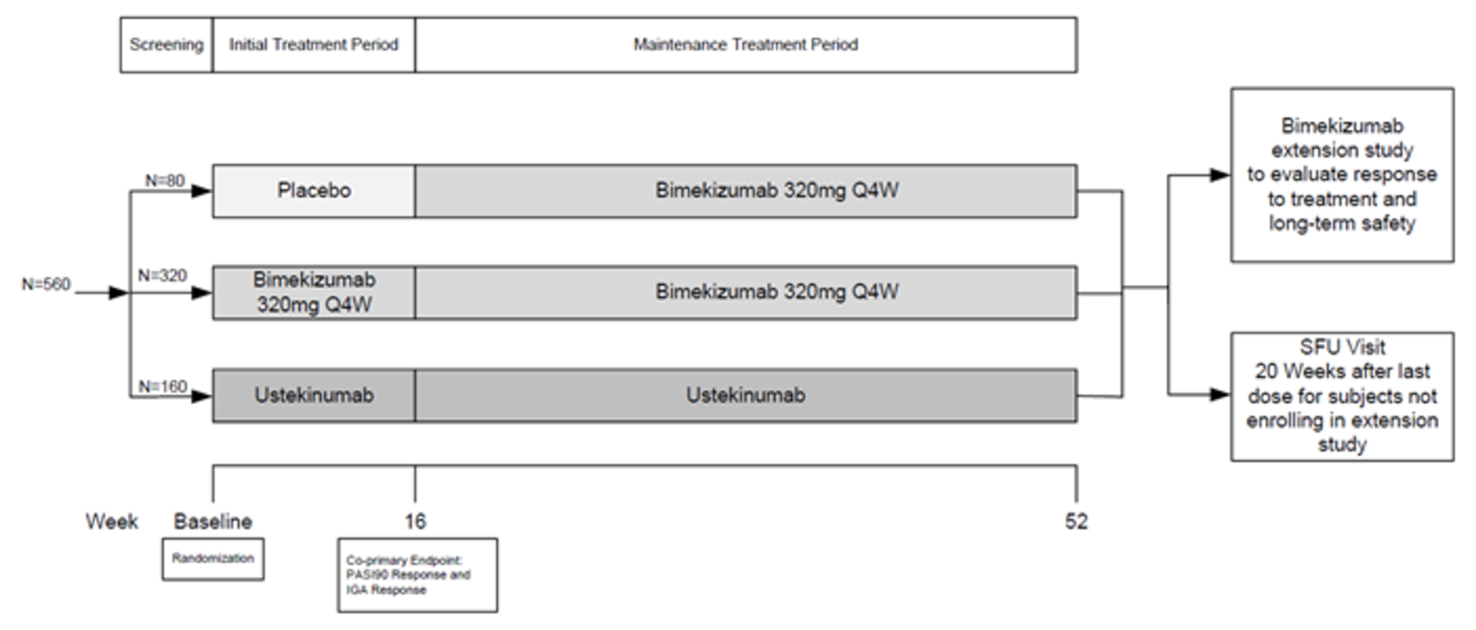 Describes the flow of patients and treatments received from randomization through to the initial and maintenance treatment periods, and subsequent entry into the extension study or safety follow-up period.